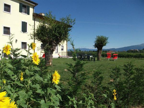 Agriturismo Anna Caterina Hotel Castelnuovo del Garda Kültér fotó